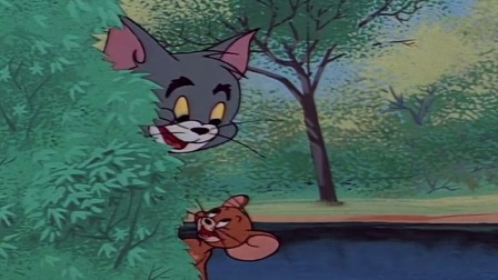 猫和老鼠 少儿版 34集
