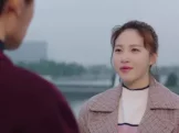 想看你微笑 20集