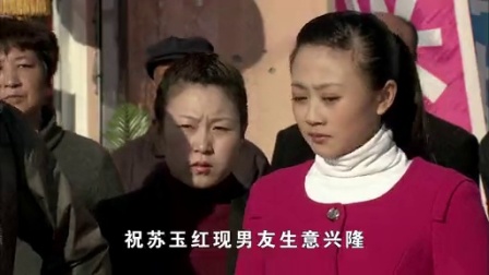 乡村爱情 第6部 37集