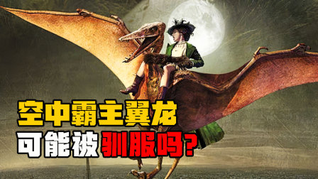 恐龙世界：探秘不一样的恐龙时代 8集
