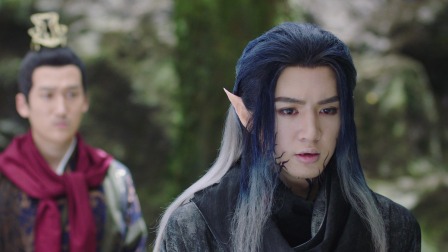 郎君不如意 29集
