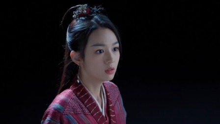 《护心》天雁蜜语CP版 10集
