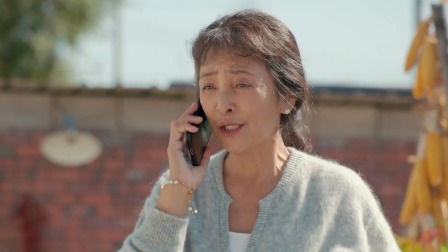 二龙湖&middot;&ldquo;村&rdquo;暖花开2 高光版 13集
