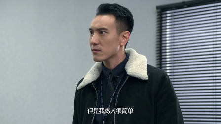 蚀日风暴 28集