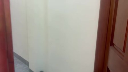 我的节奏人朋友 252集
