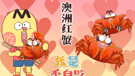 我是不白吃 第二季 14集
