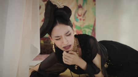 驸马大人请指教 63集