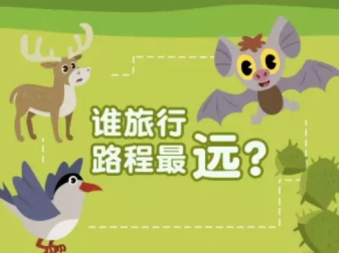 超萌动物园 新奇动物大派对 15集