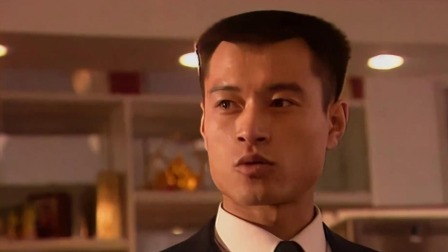 年轮 27集