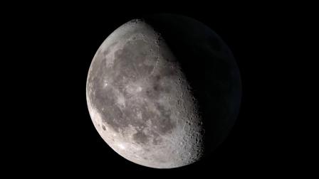 好奇动物：奇妙的宇宙课堂 7集