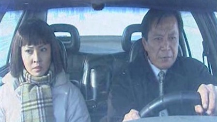 云雀行动 19集