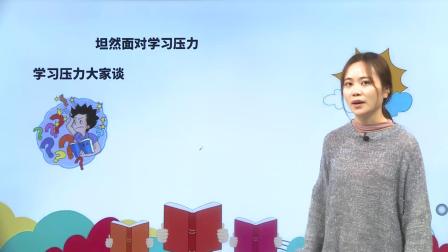 初中道德与法治同步课九年级下册 11集