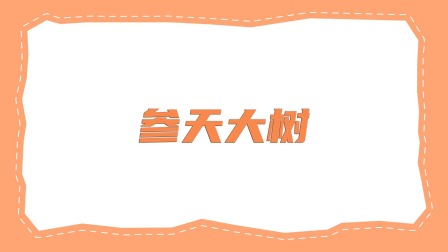 智绘贝壳画 2集