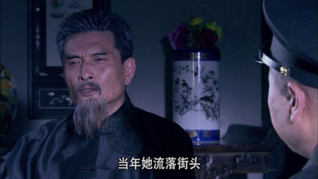 独立纵队 29集