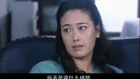 像风一样离去 13集