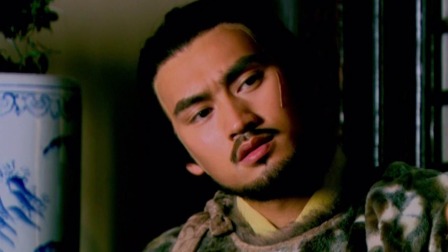 少年杨家将 31集