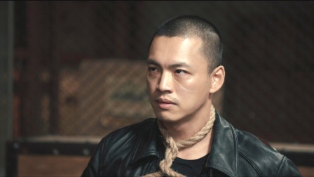 似火流年 27集