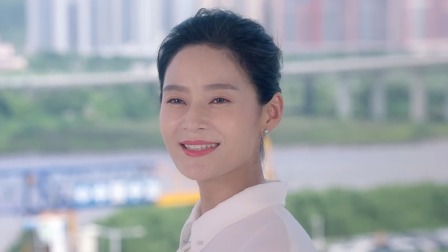 湾区儿女 28集