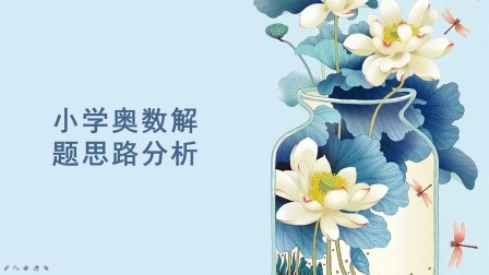 小学奥数入门：用奥数思维学数学 1集