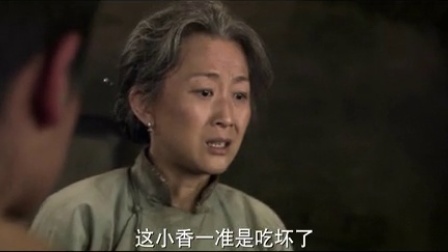 大地情深 31集