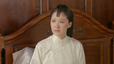 烟花易冷 9集