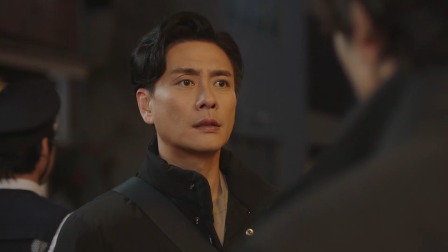 法证先锋VI：幸存者的救赎 24集