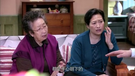 独生子女的婆婆妈妈 16集