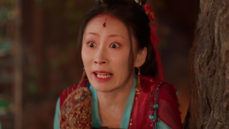 藏药令 19集