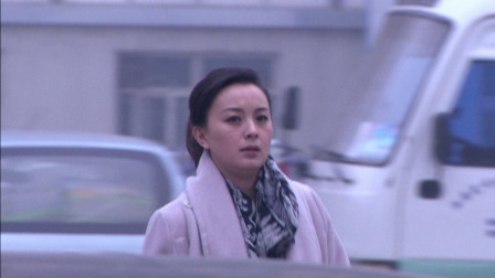 法网追击 4集