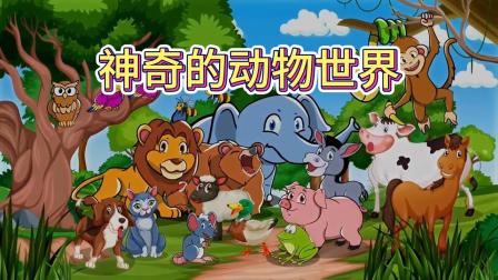 动物启蒙大闯关 3集