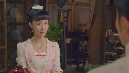 烟花易冷 17集