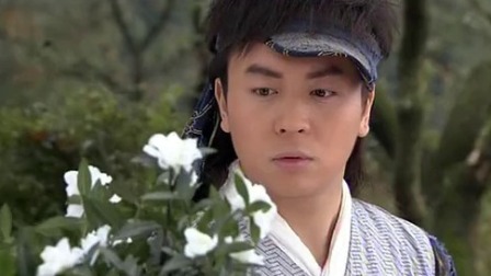 孔雀翎 12集