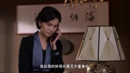 信访局长 29集