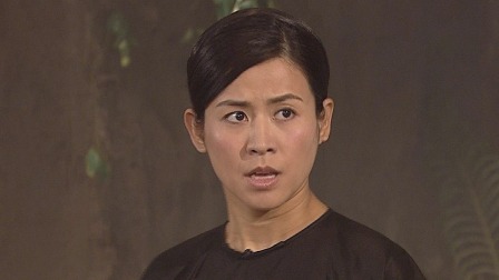 施公奇案2 20集