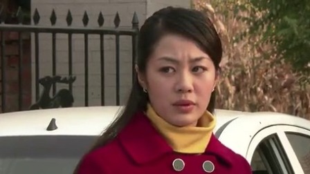 乡村爱情小夜曲 34集