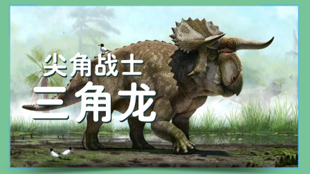 小小探险家：百科大讲堂 5集