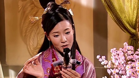 大汉天子 第一部 27集