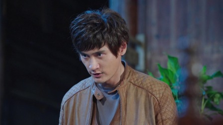 左轮手枪 29集