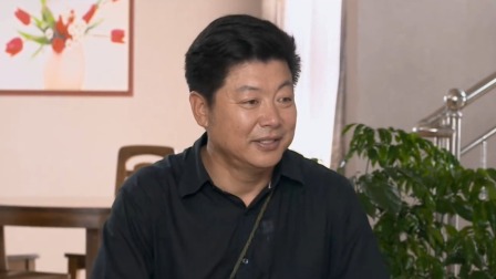 龙门村的故事 9集