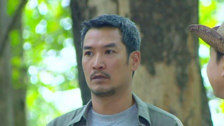 绿野心踪 DVD版 26集