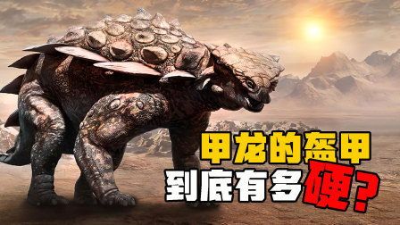 恐龙世界：探秘不一样的恐龙时代 6集