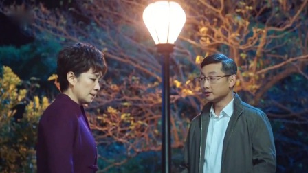 巡回检察组 TV版 38集