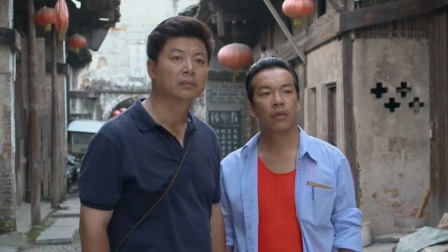 龙门村的故事 8集