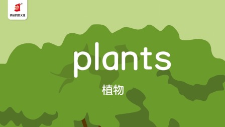 好奇世界：磨耳朵单词课 20集