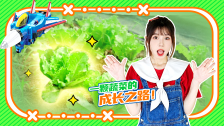 咖宝车神飞天战队趣探险 11集