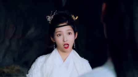 丑女医妃 21集