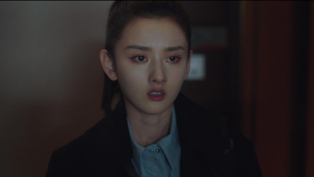 盛装 13集