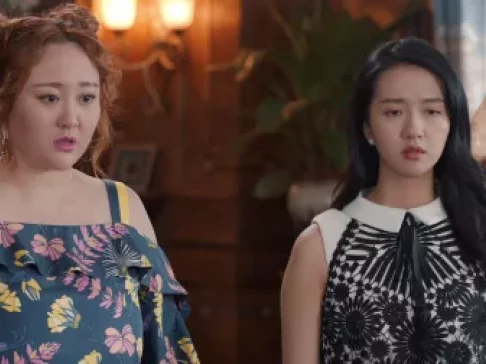 归去来 36集