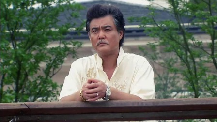 浮尘下的枪声 8集