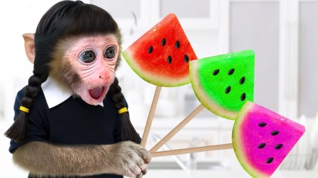 小猴子啵啵 第9季 24集